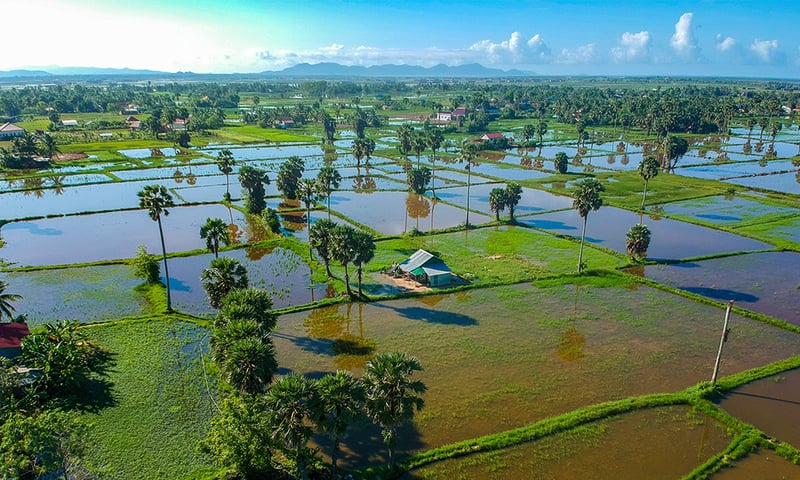 Travel through scenic landscapes to the verdant pepper vines and rice paddies of Kampot