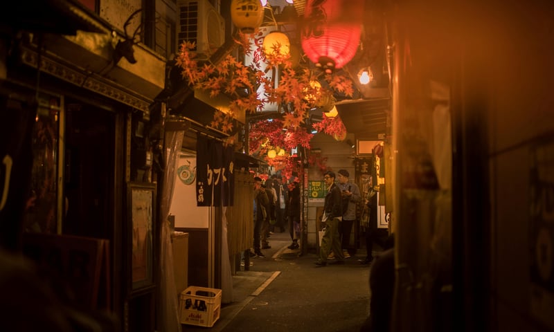 "Yokochos", meaning backstreets, are often full of "izakayas"(small pubs/eateries) in Tokyo, Japan.