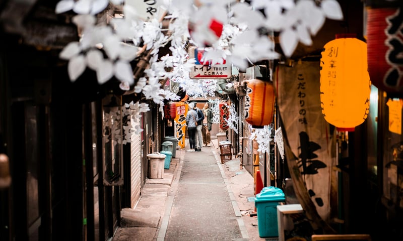 Tokyo alleyways, known as “yokocho”, are places of fantastic food, great times, and camaraderie.