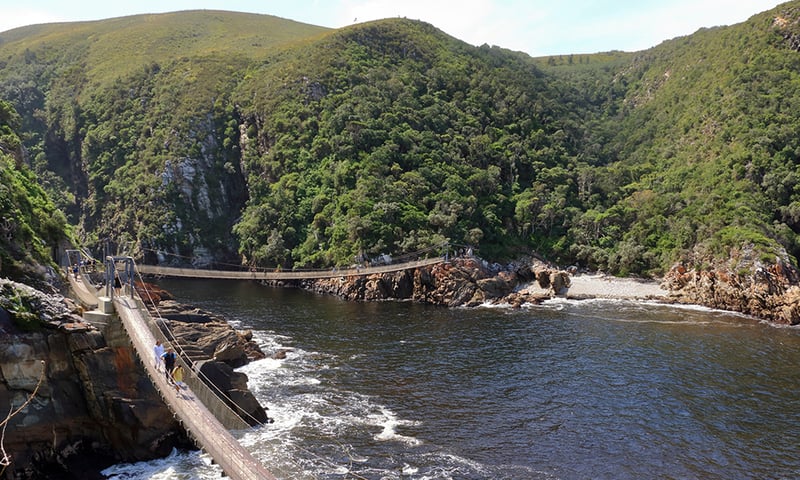Walk the suspension bridge over Storm River in Tsitsikamma National Park.