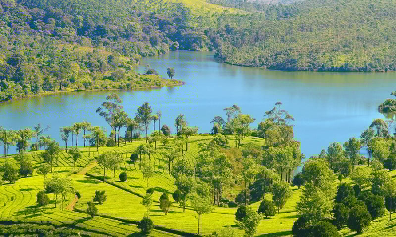 Visit Periyar Lake with free time in Periyar, India.