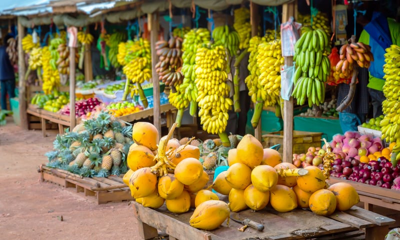 Browse local produce and handicrafts at Jaffna Market in Jaffna, Sri Lanka.