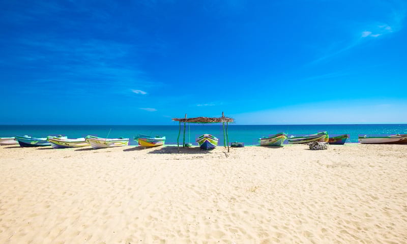 Spend a relaxing day at leisure on Kosgoda Beach, Sri Lanka.