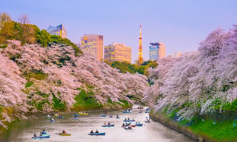 Locals enjoy the Sumida River during spring in Tokyo, Japan.
