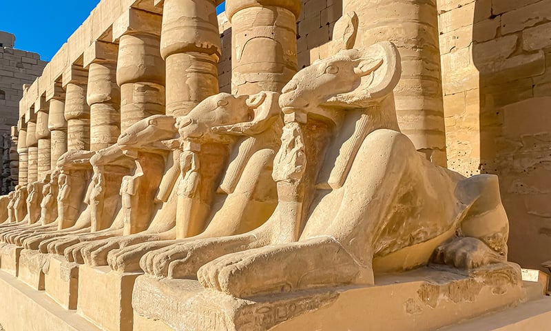 An avenue of ram-headed sphinxes links Karnak Temple and Luxor Temple.