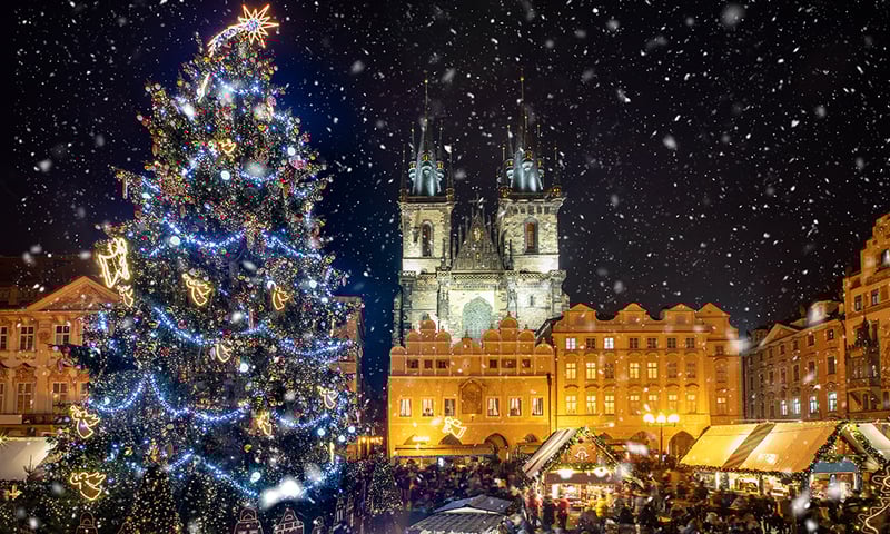 Stand in awe under the giant Christmas tree in Prague's Old Town Square.