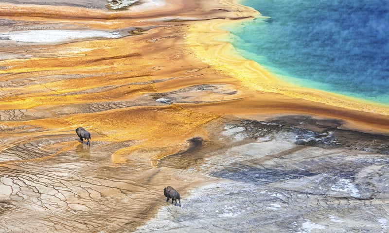 Grand Prismatic Spring in Yellowstone National Park is the largest hot spring in the United States.