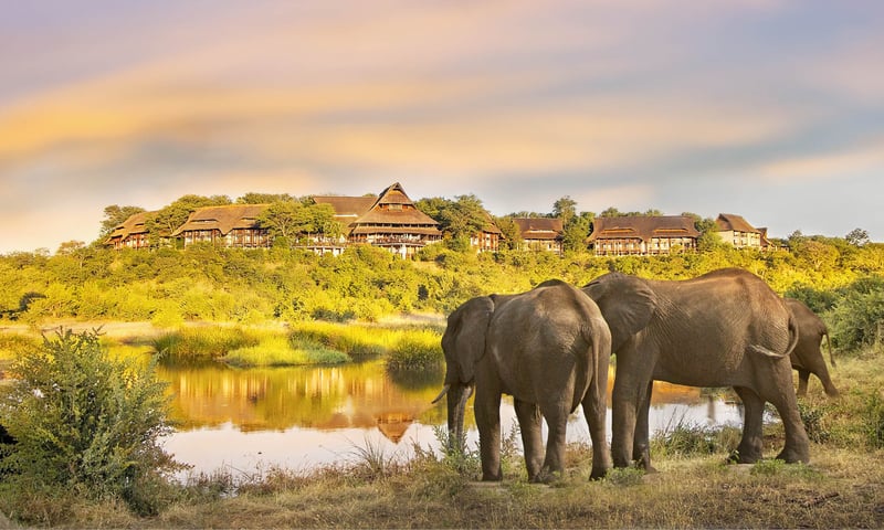 Seek out Elepants while on safari game drives in Pilanesberg Game Reserve.