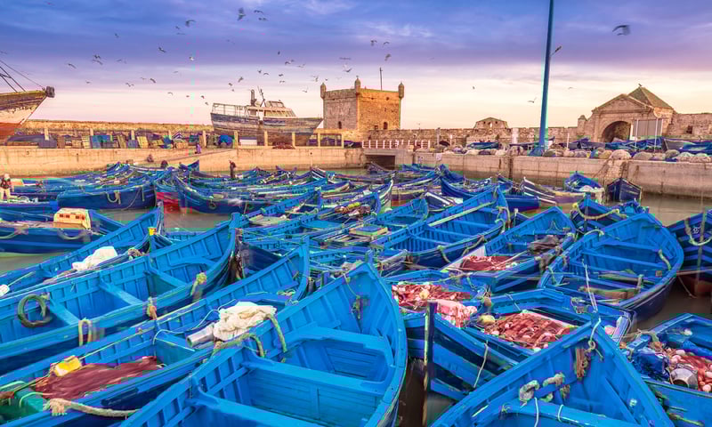 Spot fishing boats in the port of Essaouira, Morocco.