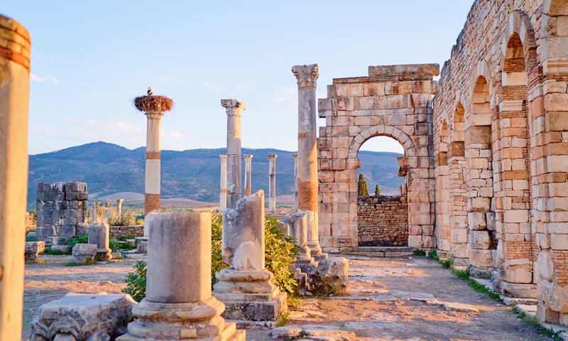 Explore the archaeological ruins in Volubilis, Morocco.