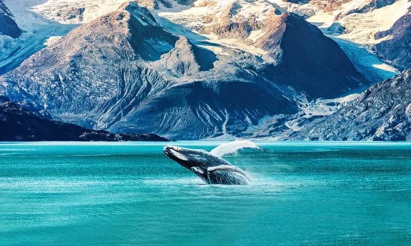 Experience the unforgettable landscapes of the Inside Passage in Alaska.