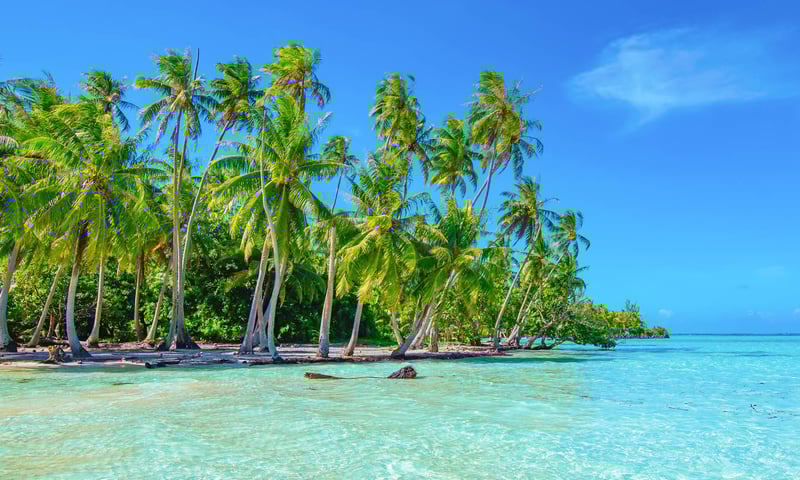 Raiatea is the ancient home of Polynesian culture throughout the South Pacific.