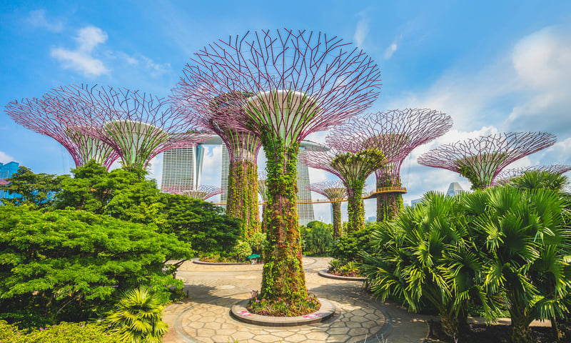 Singapore's Gardens by the Bay is home to a collection of over 1.5 million plants.