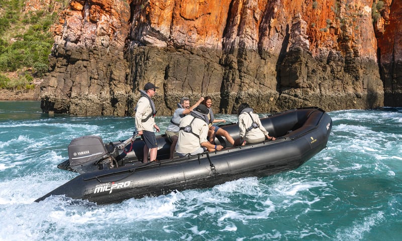 Embark on an exciting zodiac tour.