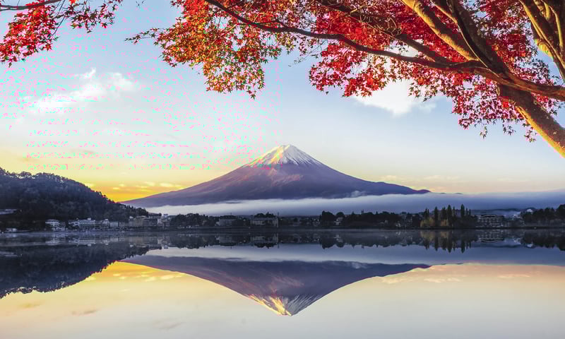 See the commanding views of Mt Fuji as you tour the Five Lakes District.
