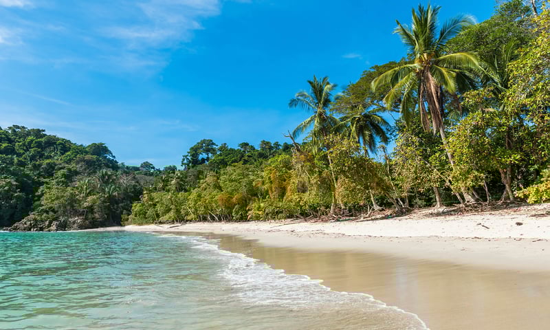 Manuel Antonio Beach, a picturesque white sand beach located in Costa Rica.