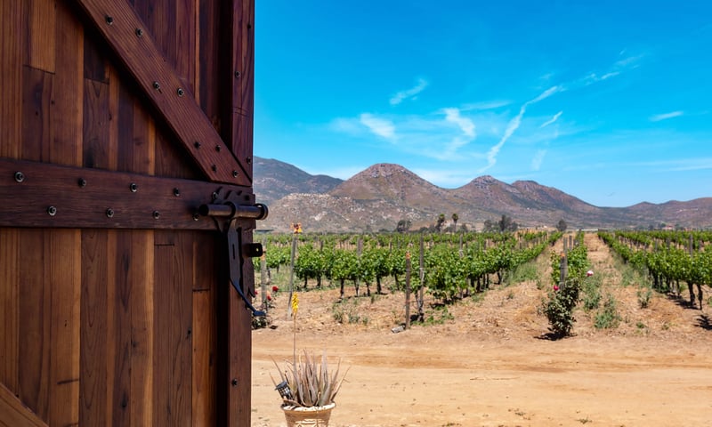 Indulge in the vibrant flavours and golden beaches of Ensenada, Mexico.