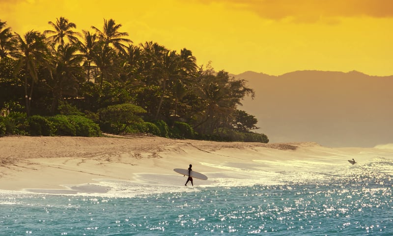 Hawaii's world-famous beaches and calm waters are perfect for swimming and learning to surf.