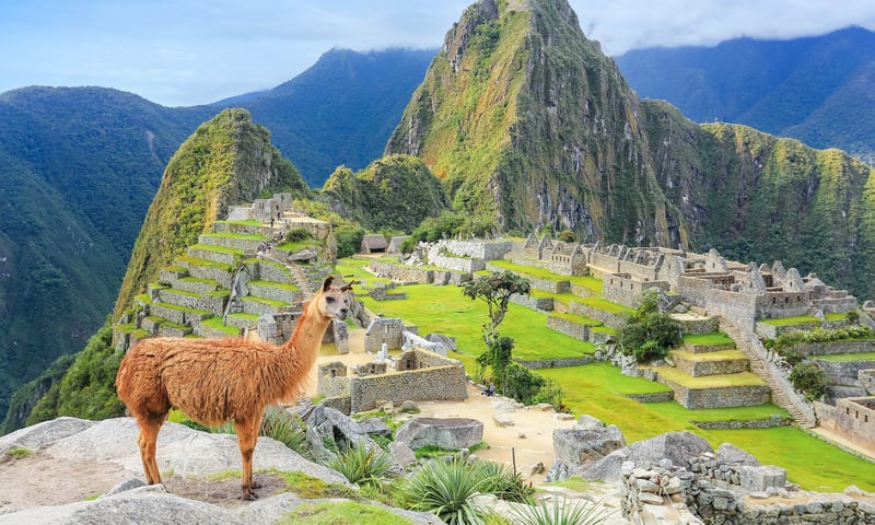 Wander through the sacred sites of Machu Picchu, Peru.