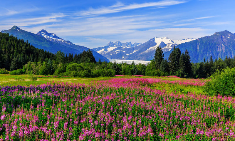 Explore the beautiful scenery of Juneau, Alaska.