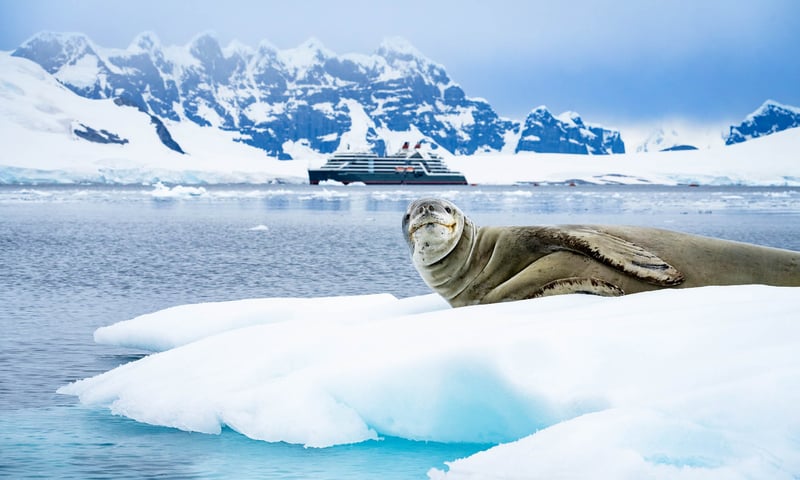 Join a 26-day bucket-list expedition to Antarctica, South Georgia and the Falkland Islands.