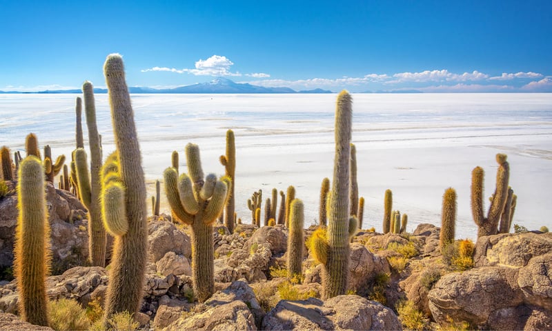 Bolivia's dazzling white Uyuni Salt Flats.