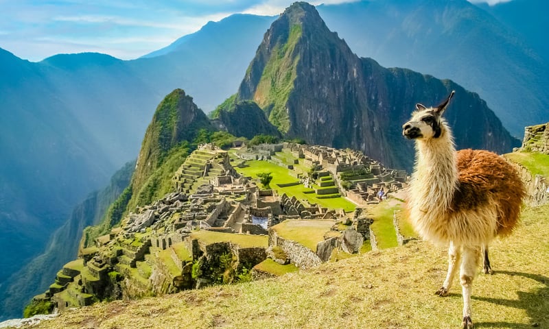 Climb high in the Andes Mountains to reach Machu Picchu.