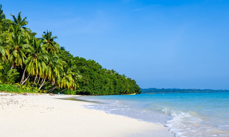 Set foot on Radhanagar Beach on Havelock Island, Andaman Islands.