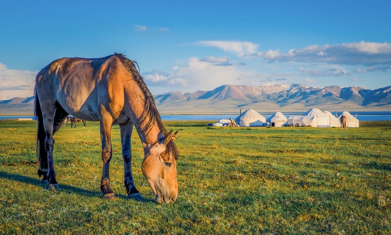 Stay overnight in a traditional yurt while in Kyrgyzstan.
