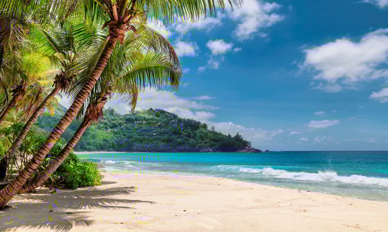 Embark on a 17-night cruise from Port Victoria, Mahe, Seychelles to Cape Town, South Africa.