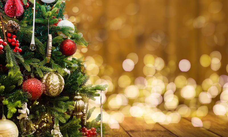 Enjoy a floating wonderland of festive decorations, gourmet dining and special Christmas events.