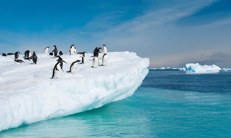 Sail from Argentina to Antarctica and experience stunning scenery.