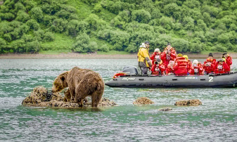 Experience Canada and Alaska in depth on an expedition voyage and luxury rail journey.