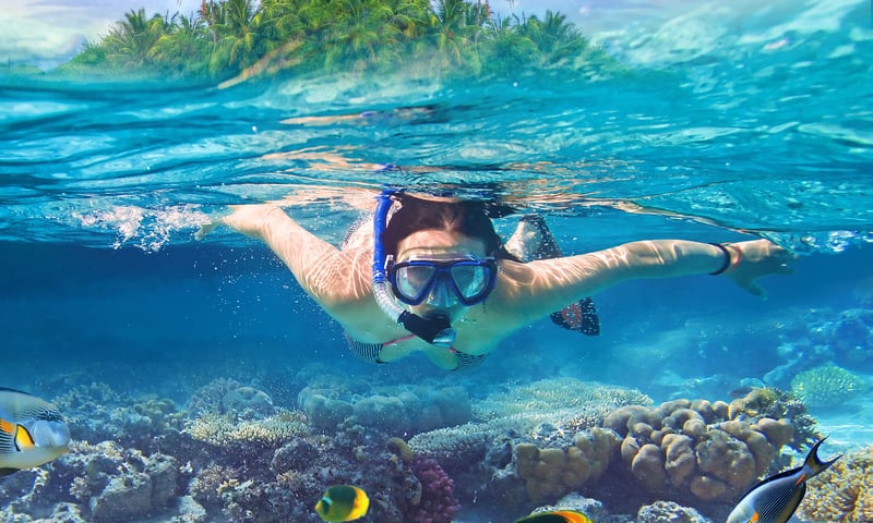 Go for a snorkel while staying at Robinson Noonu Resort.