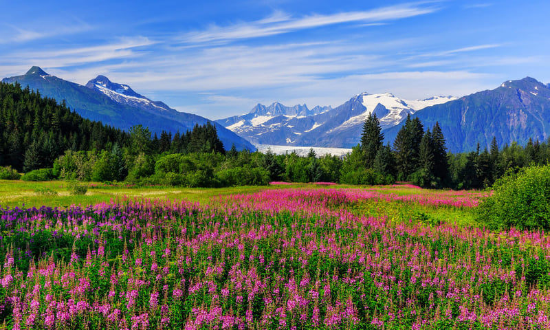 Photograph the landscapes of Juneau, Alaska.