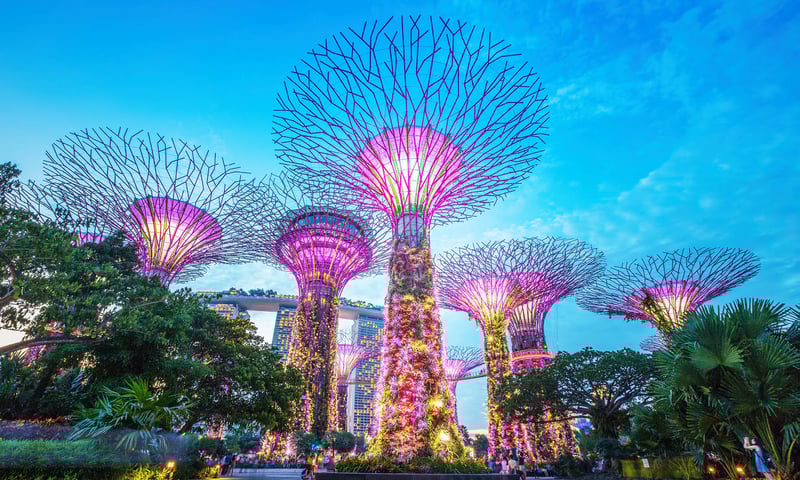 Gardens by the Bay are a must-see in Singapore.