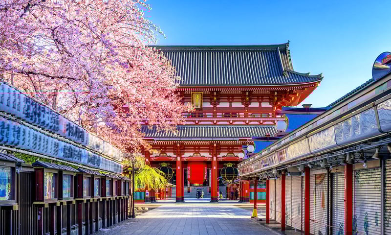 Experience serene temples and ancient shrines on your journey through Japan.