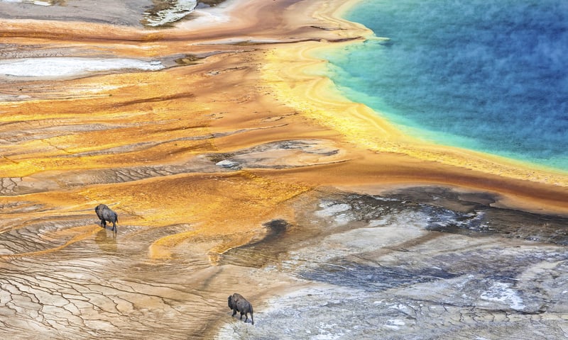 Yellowstone is the oldest  national park in the United States of America.