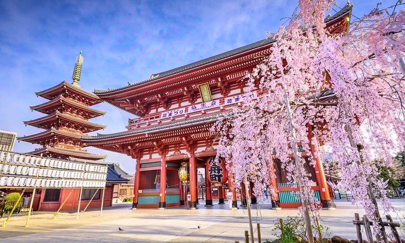 Explore Senso-ji temple with free time in Tokyo, Japan.