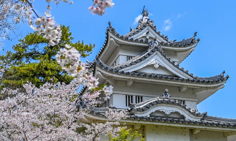 Admire Kochi Castle during your leisure time in Kochi, Japan.