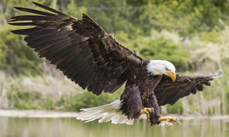 Have your camera ready, you never know what you may see.