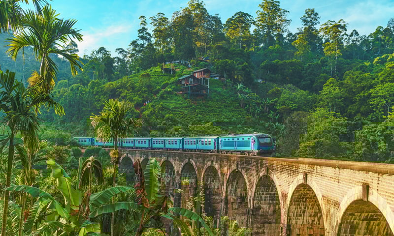 Ride the Nine Arch Bridge, a scenic railway viaduct in Sri Lanka.
