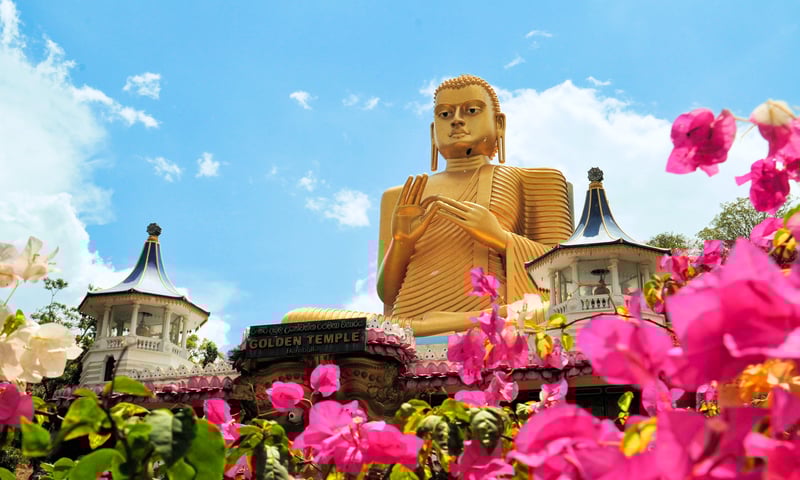 Dambulla is well known for the Dambulla Cave Temple.