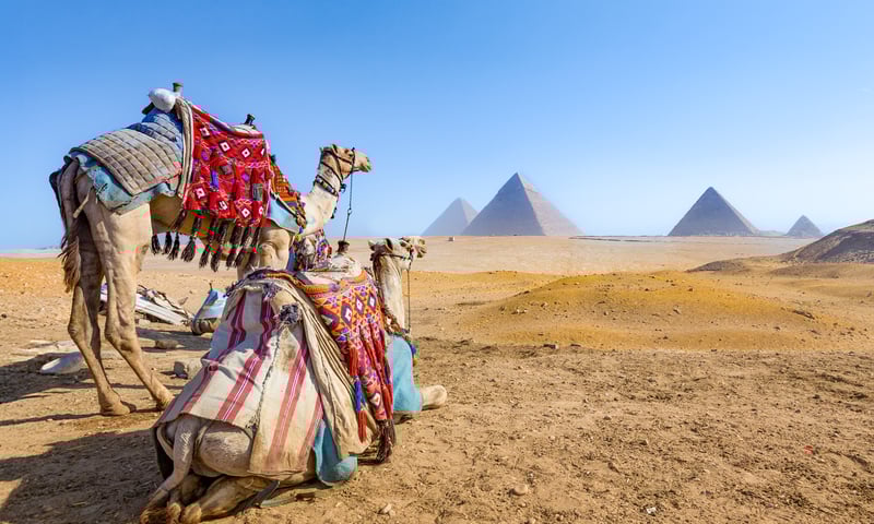 Visit the Pyramids of Giza and the iconic Sphinx in Egypt.