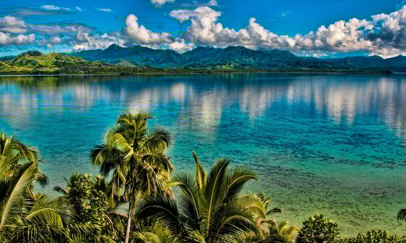 Explore the pristine natural beauty of Savasavu, Fiji.