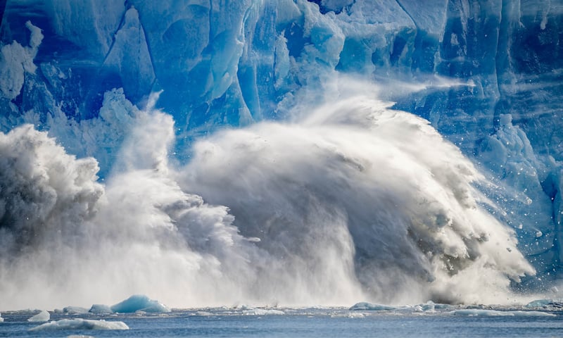 Ice calving  is the breaking of ice chunks from the edge of a glacier like Chile's Pio XI.