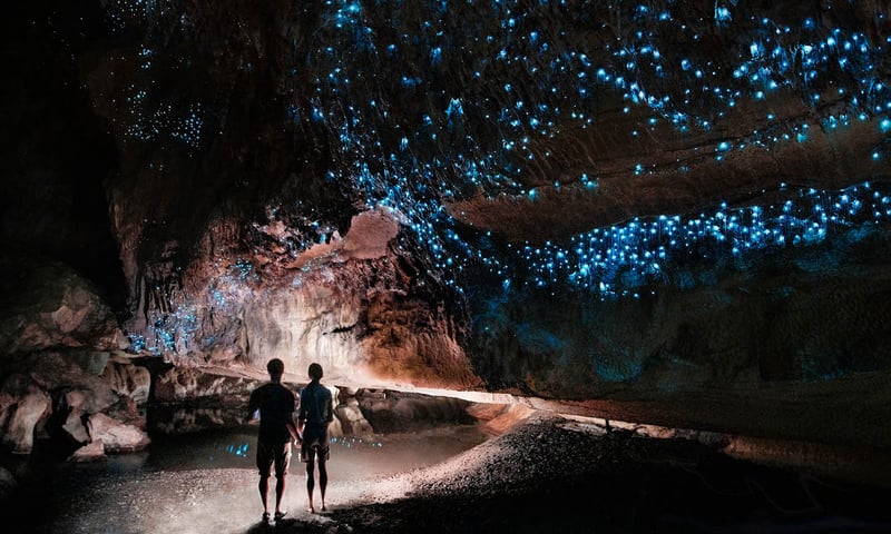 Be amazed by the luminous Waitomo Caves.