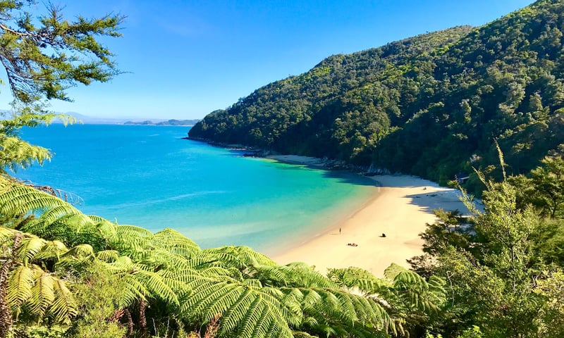 Abel Tasman National Park is renowned for its golden beaches.