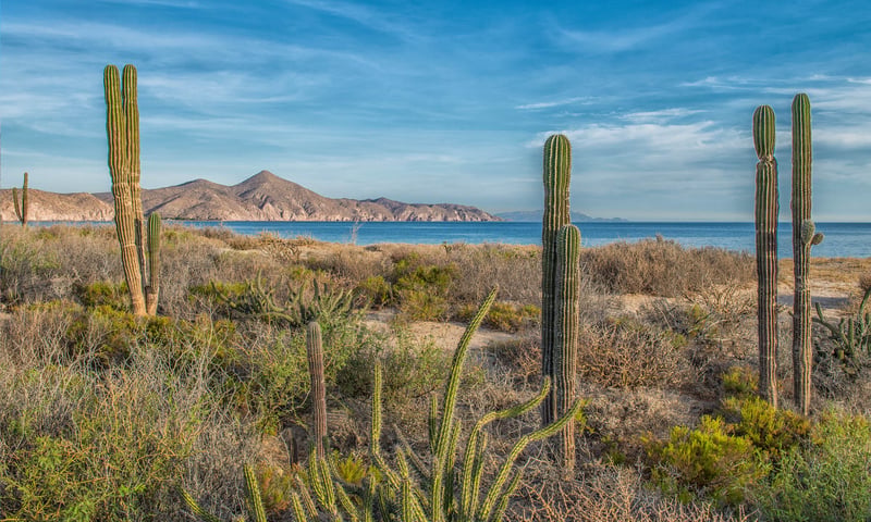 Ensenada is a port city on the Pacific coast of Mexico’s Baja California peninsula.