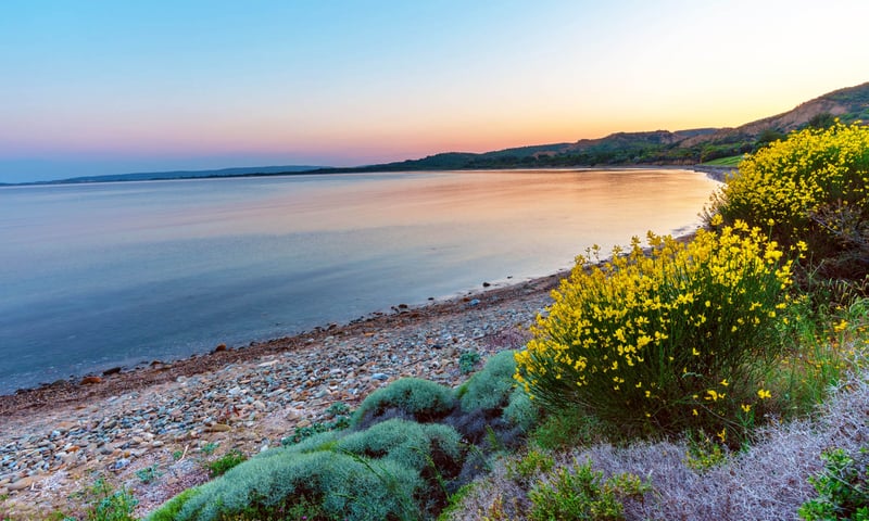 Visit Ari Burnu Cemetery, Anzac Cove (pictured), Beach Cemetery, Lone Pine and Plugges Plateau.